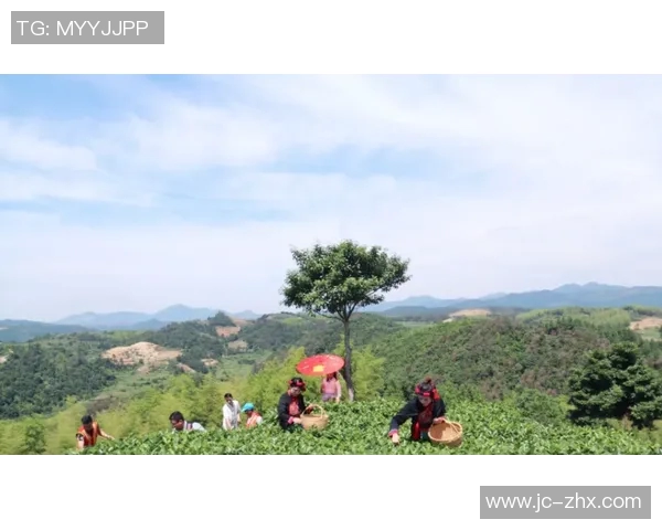 周秀英独家分享篮球心得与技巧助你提升球技的秘密解析