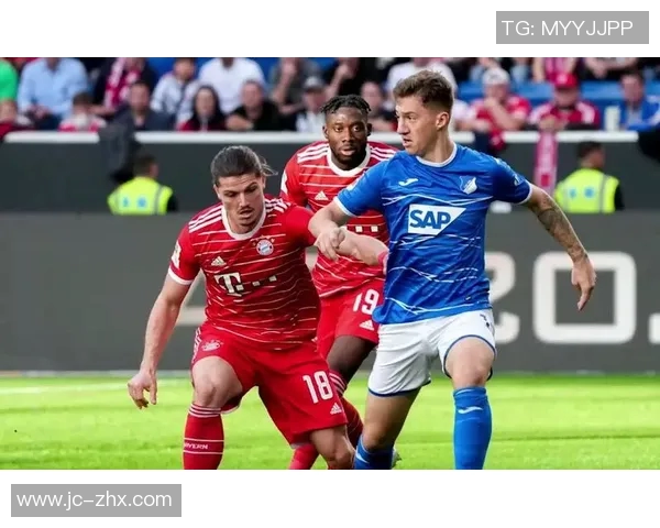 霍芬海姆主场迎战科隆期待精彩对决双方争夺宝贵积分的较量