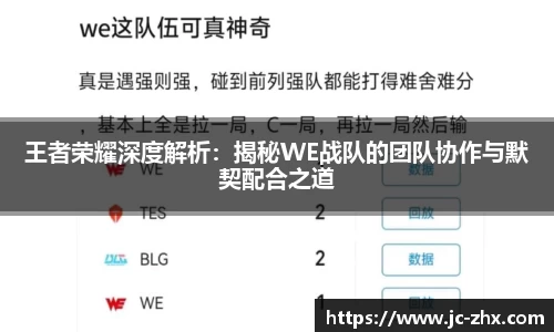 王者荣耀深度解析：揭秘WE战队的团队协作与默契配合之道
